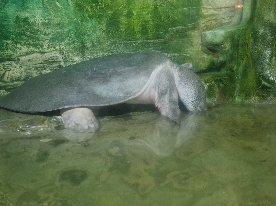 Sevastopol Aquarium-塞瓦斯托波尔必去景点