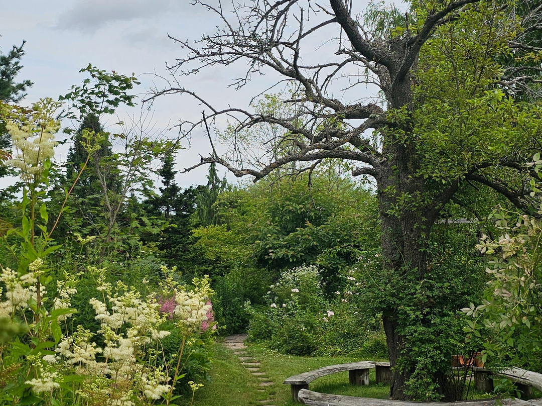 Tangled Garden-Grand Pre必去景点