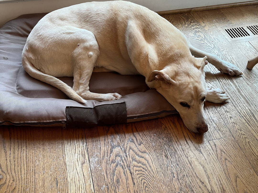 Bluegrass Country Estate主图