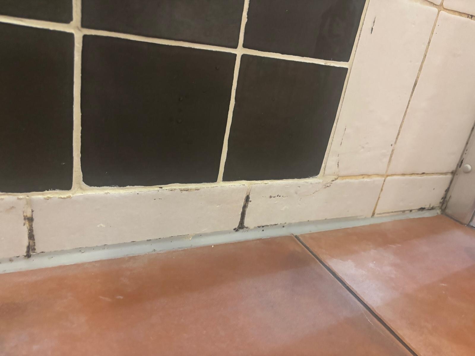 多洛雷斯酒店-官方