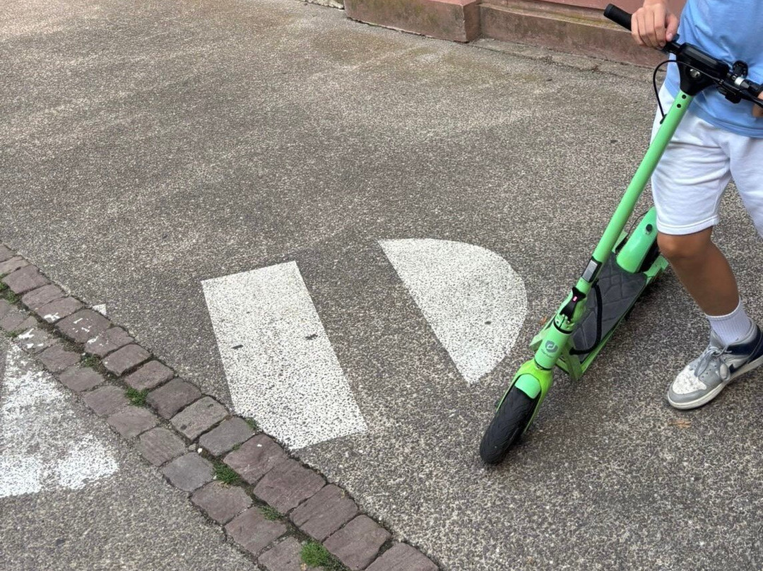 Centre-Ville de Strasbourg-斯特拉斯堡必去景点