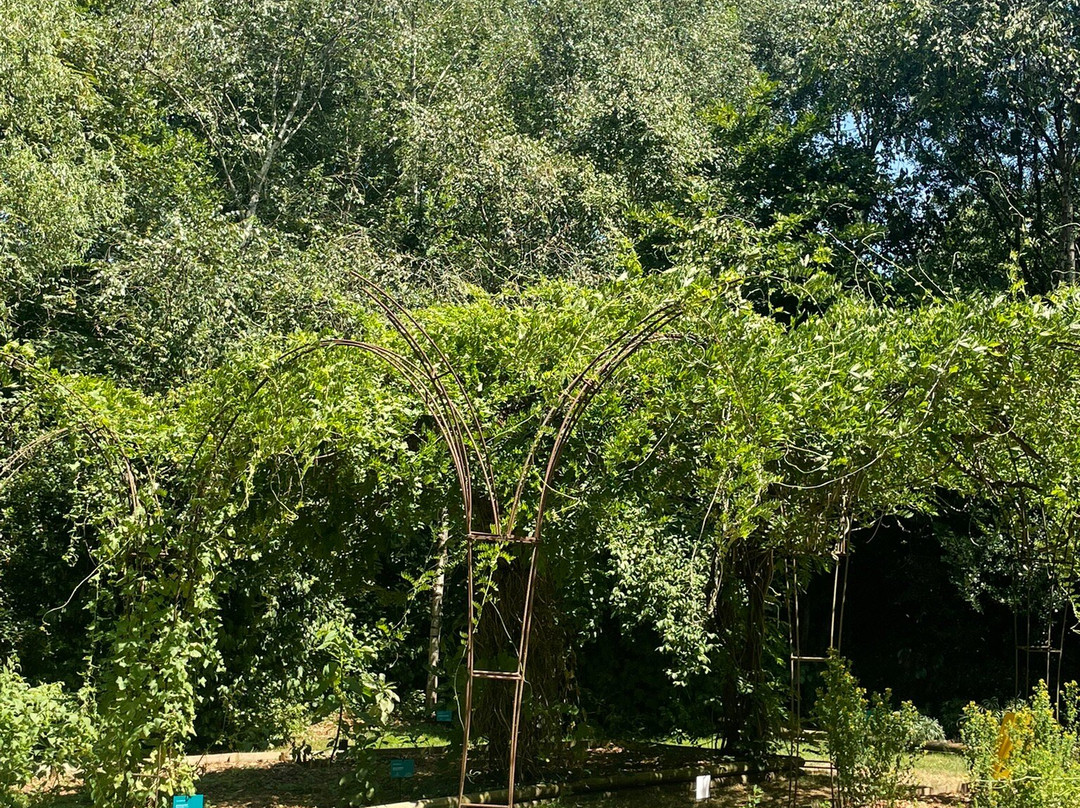 Camifolia Garden-Chemille必去景点