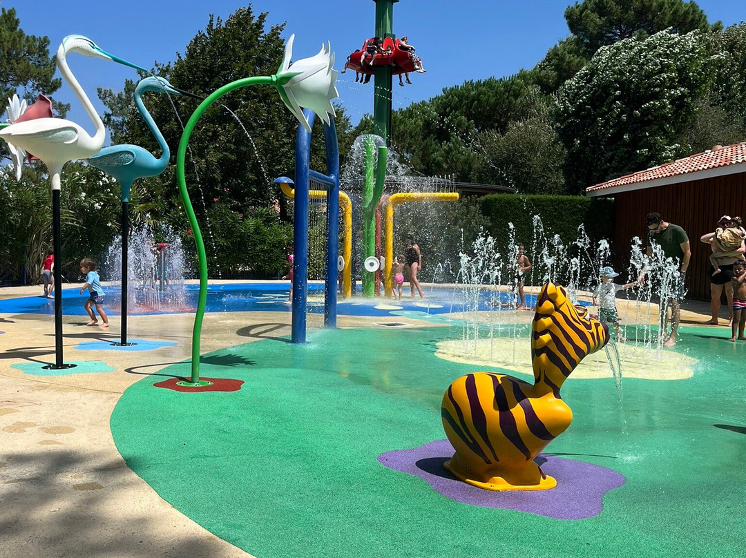 Parc de la Coccinelle-Gujan-Mestras必去景点