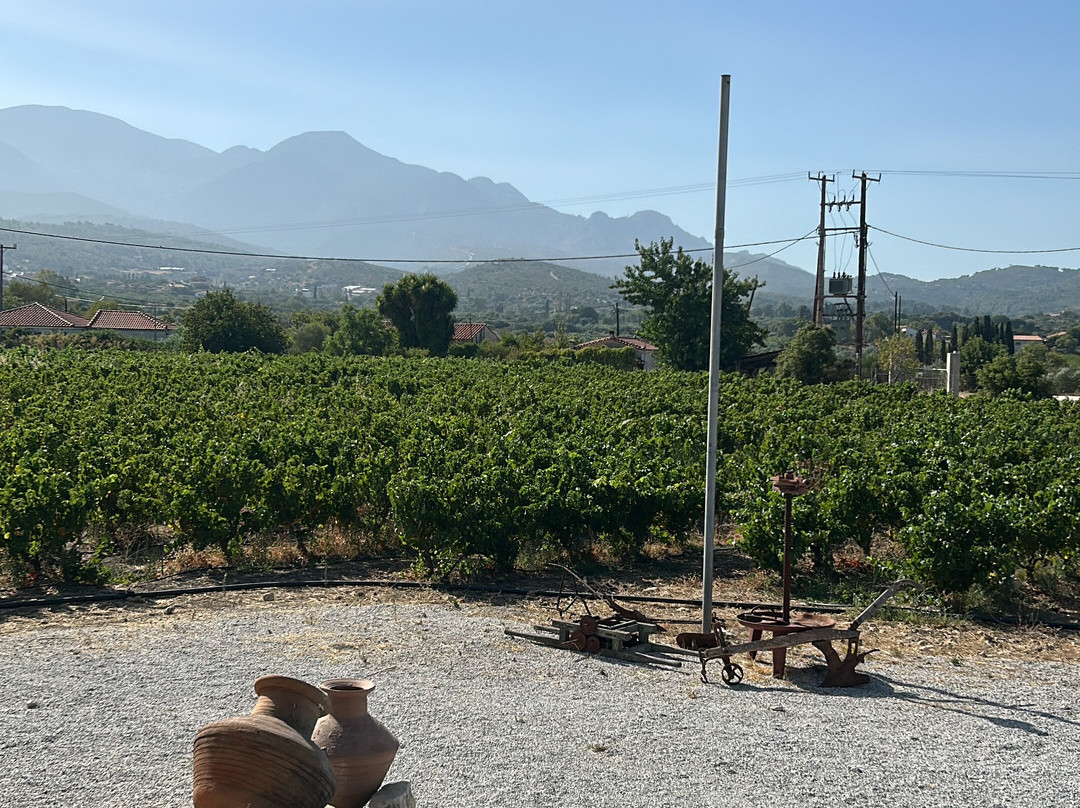 Hatziionnou Winery-Samos Town必去景点