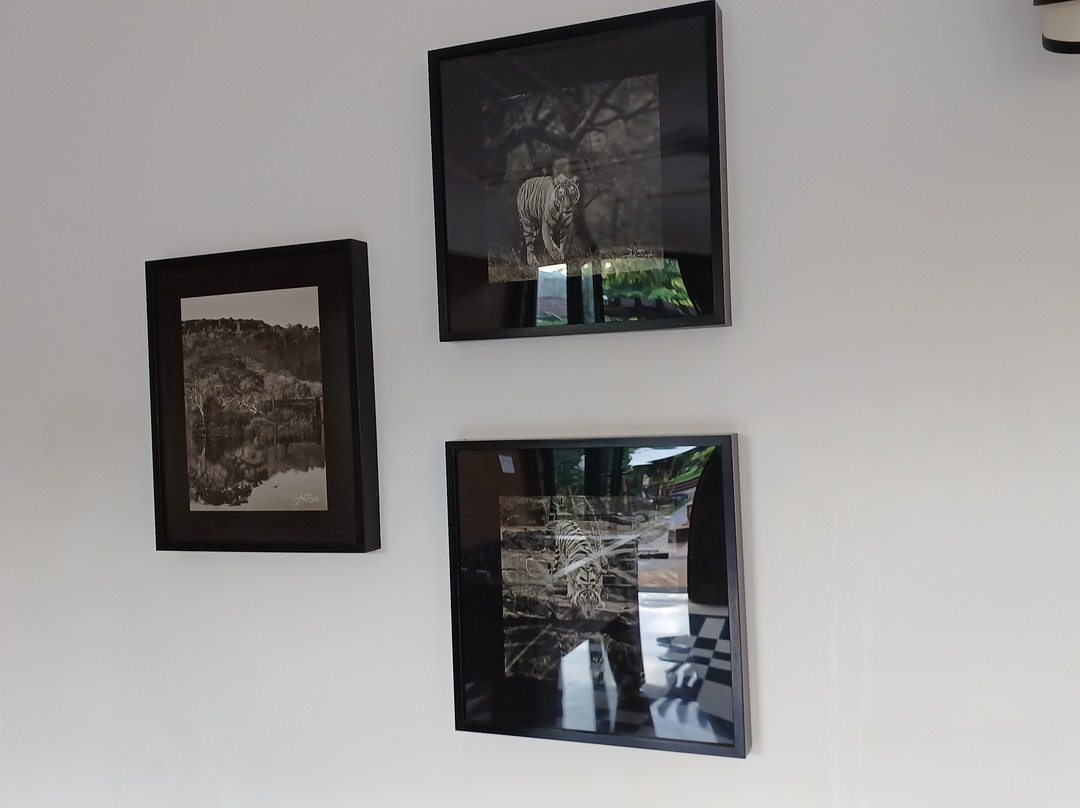 Taj Sawai Ranthambore主图