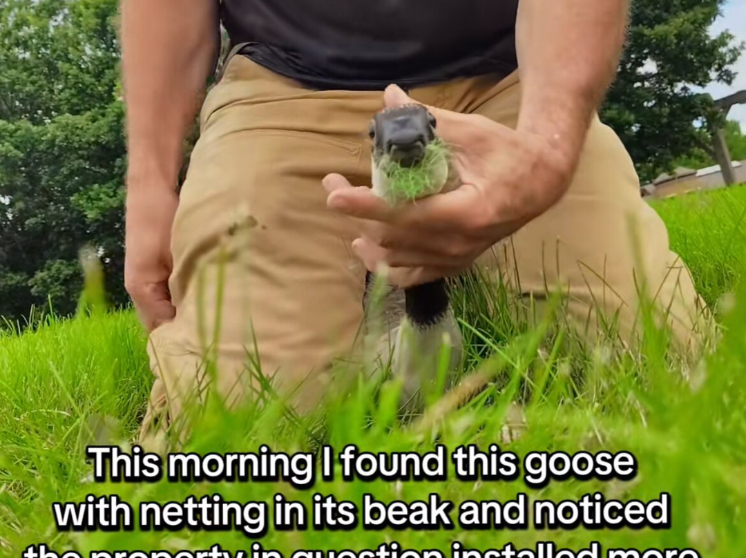 Living History Farms-Urbandale必去景点