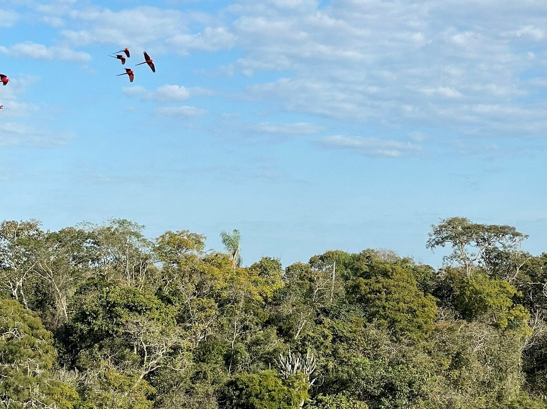 Buraco das Araras Ecoturismo-雅尔丁必去景点