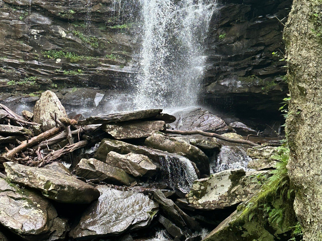 Falls of Hills Creek-Hillsboro必去景点