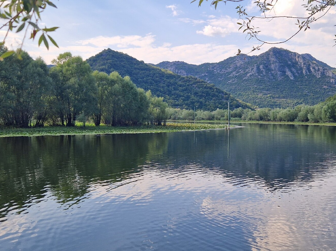 Rooms Novak Rijecani主图