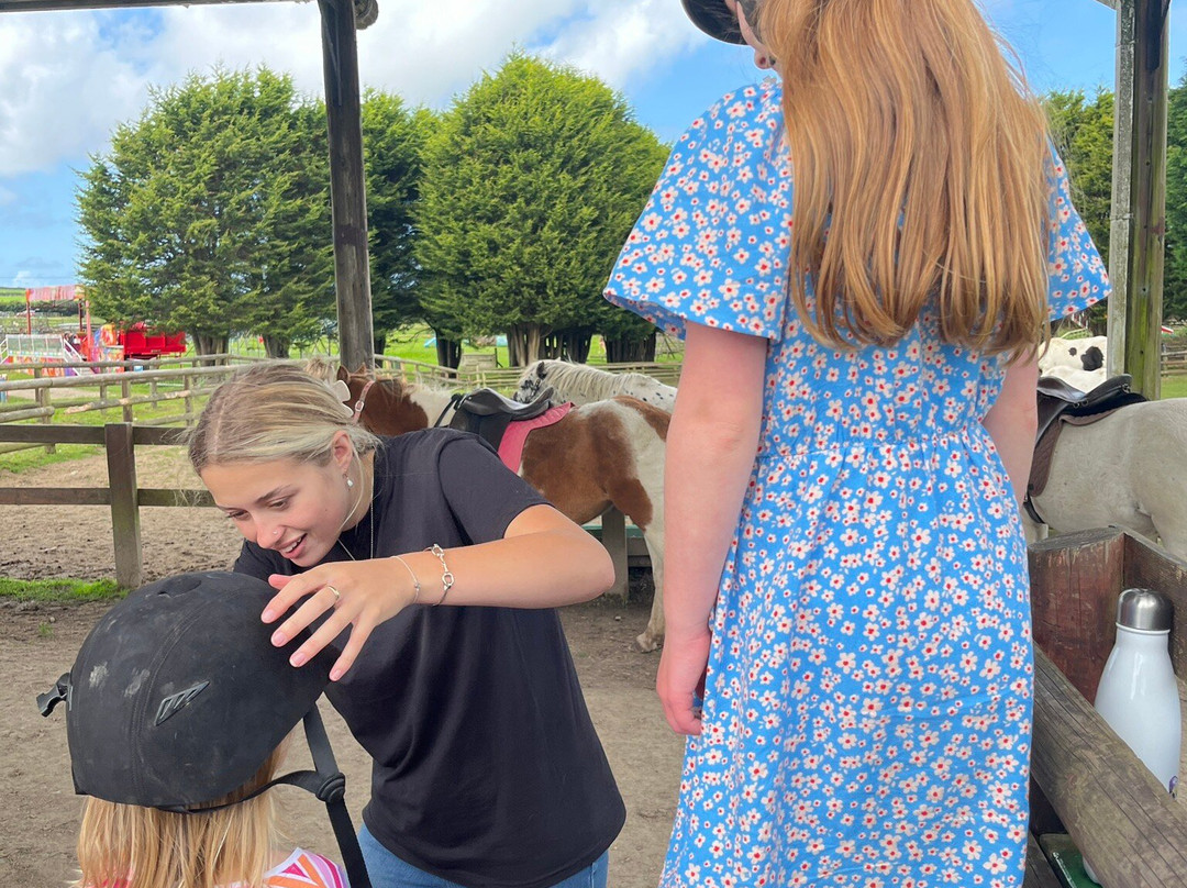 Springfields Fun Park-St Columb Major必去景点