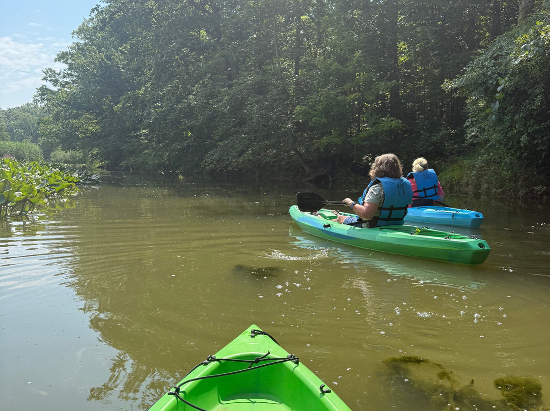 Lake Erie Canopy Tours-Geneva必去景点