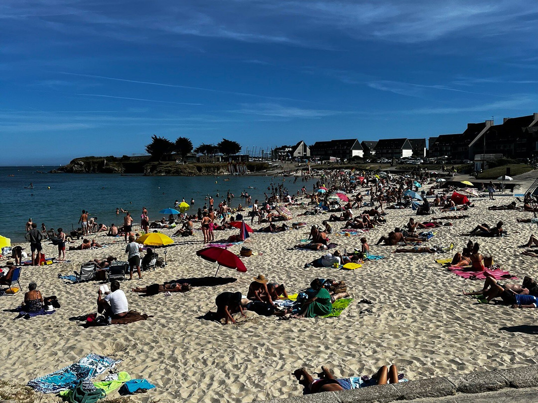 Port Haliguen-基伯龙必去景点