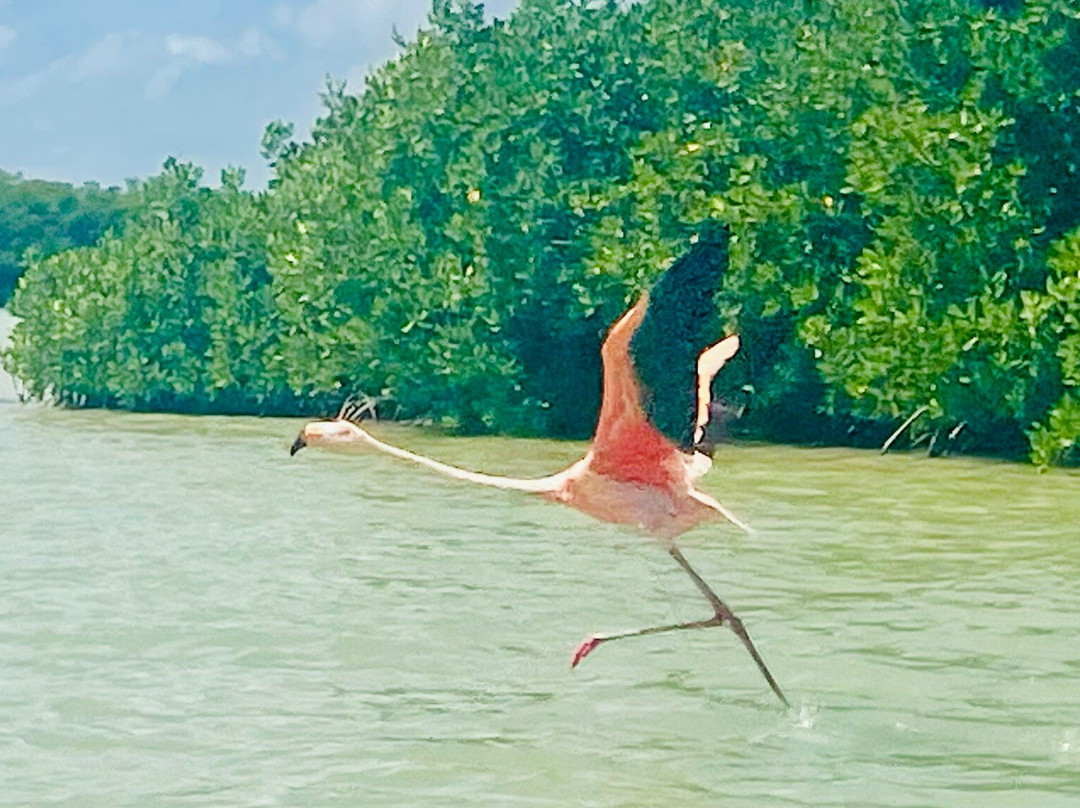 Parque Natural Ria Lagartos-里奥拉加托斯必去景点