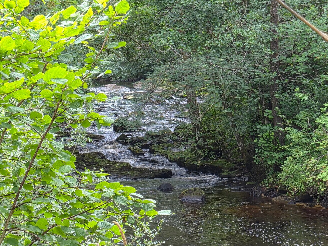 Kielder Castle Visitor Centre-Kielder必去景点