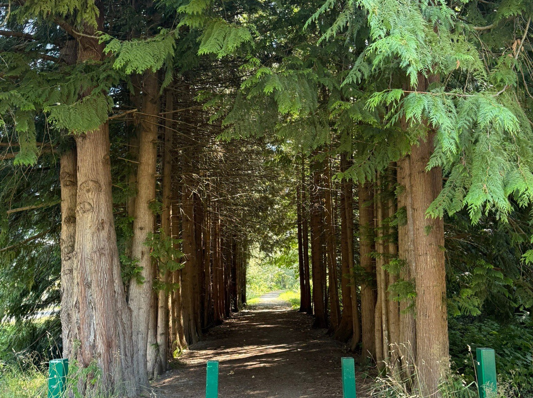 Cascade Trail-Concrete必去景点