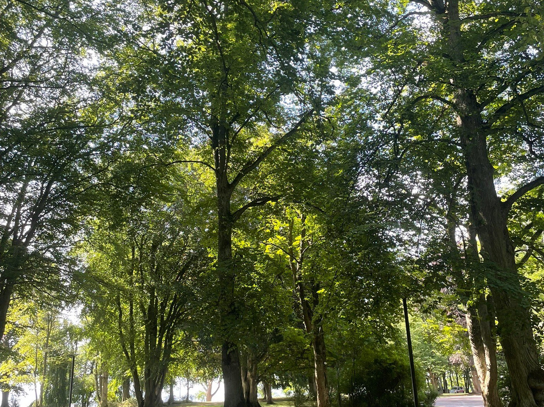 Hjo Stadspark-Hjo必去景点