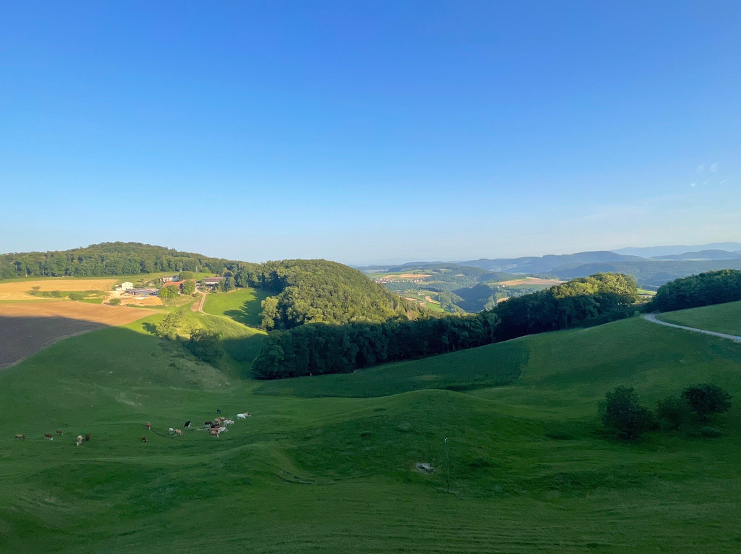 Bad Ramsach Quellhotel主图