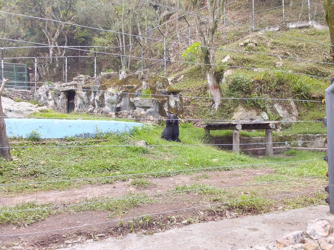 Chorros de Milla Zoo-梅里达市必去景点