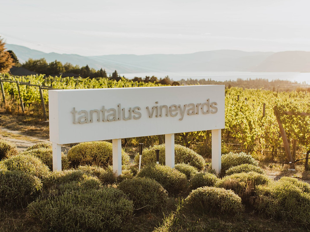 Tantalus Vineyards-基洛纳必去景点