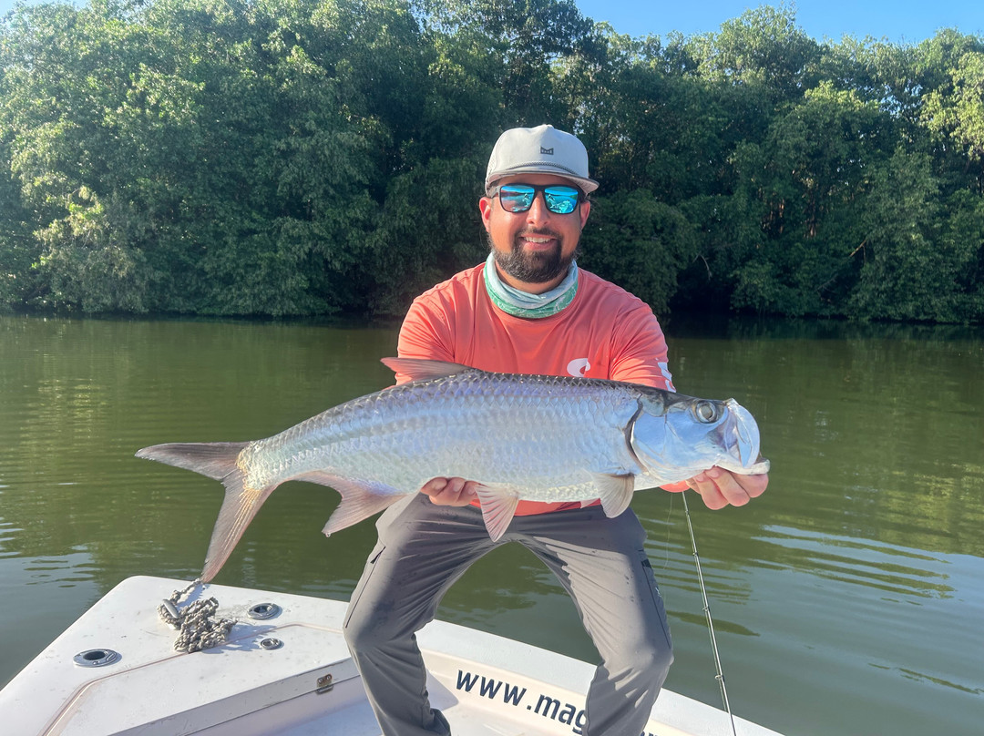 Puerto Rico Magic Tarpon-圣胡安必去景点