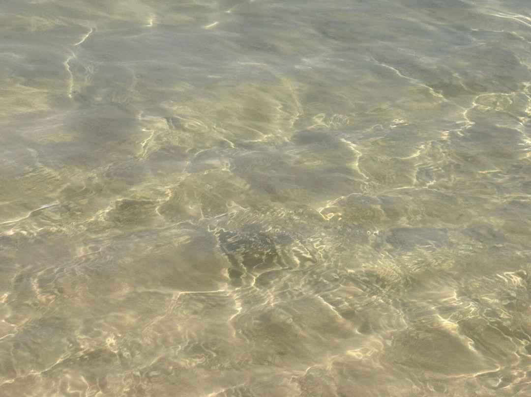 Lençóis Maranhenses-Santo Amaro do Maranhao必去景点