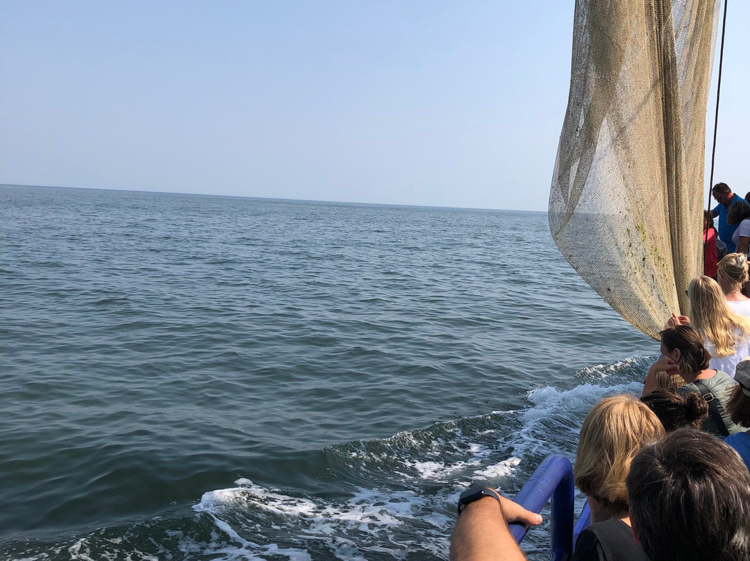 Het Wad op -TX10 & TX20-Oudeschild必去景点