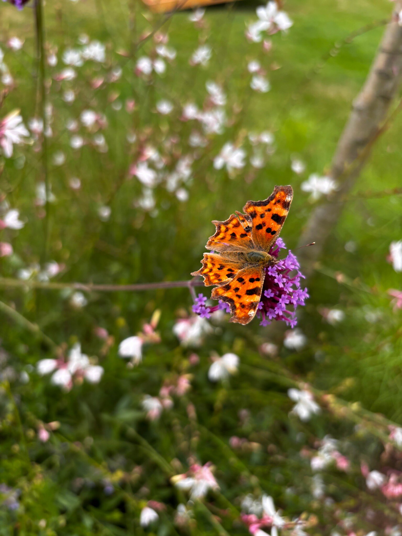 The Old Kent Barn-官方