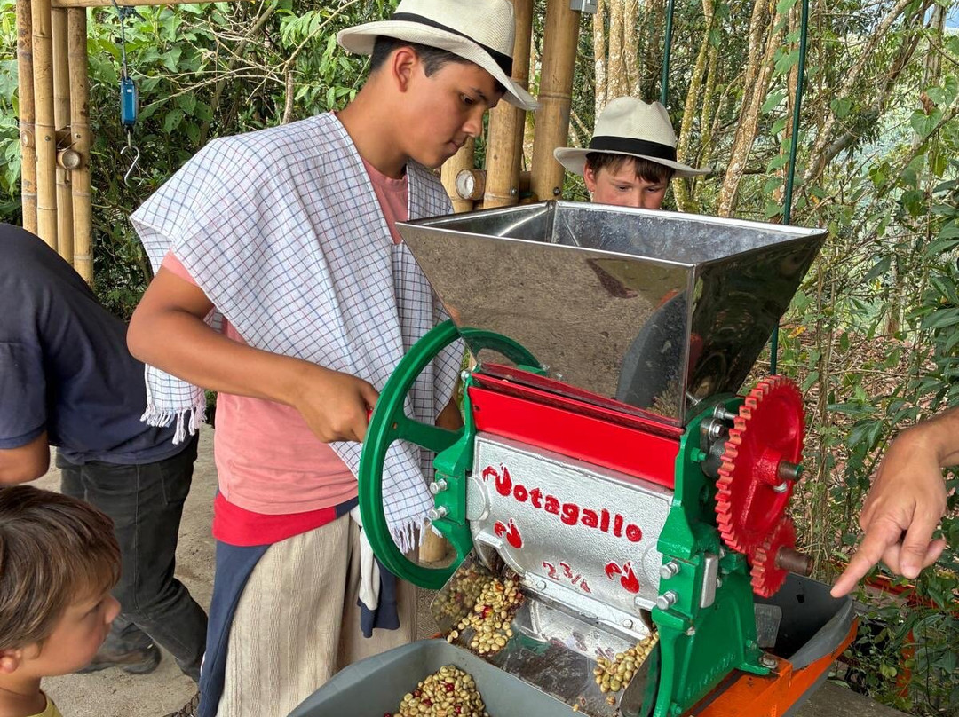 Finca Entrebosques Coffeetour主图