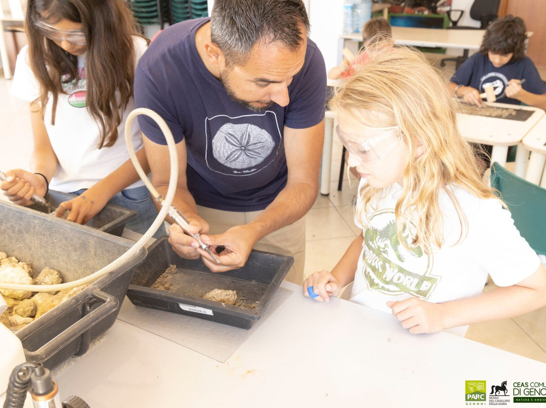 Museo Parc - Museo Paleontologico, Archeologico e Laboratorio didattico-Genoni必去景点