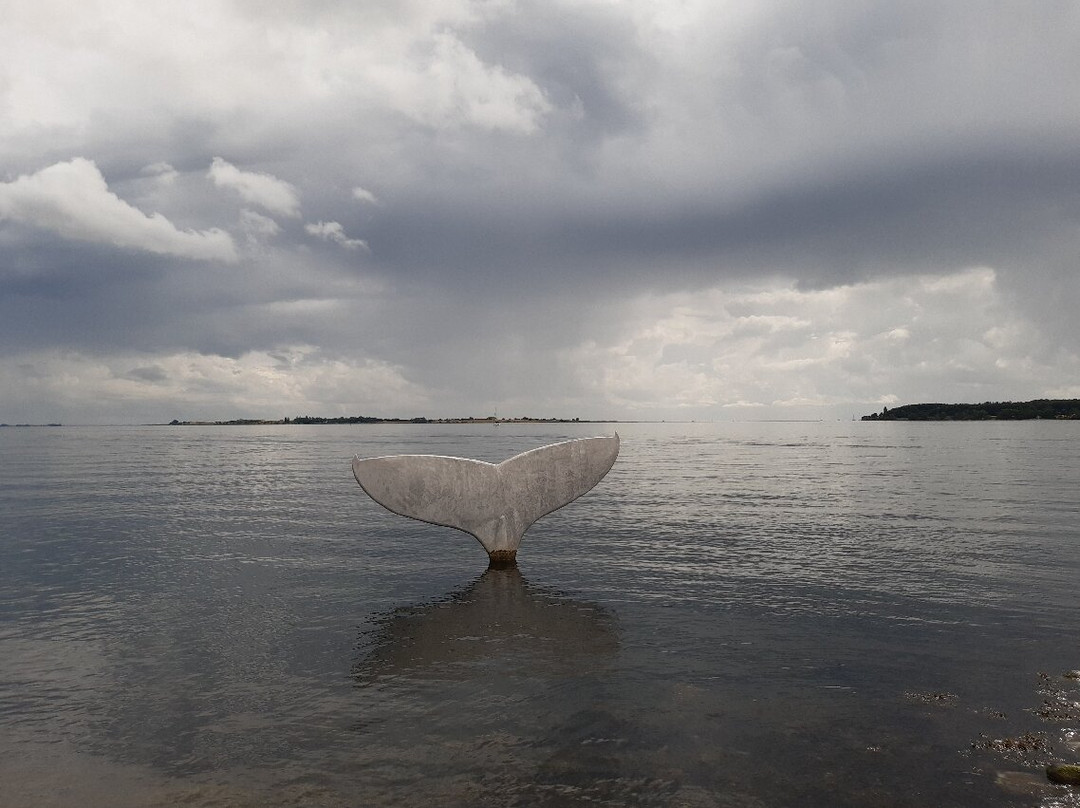 Faaborg havnebad-福堡必去景点