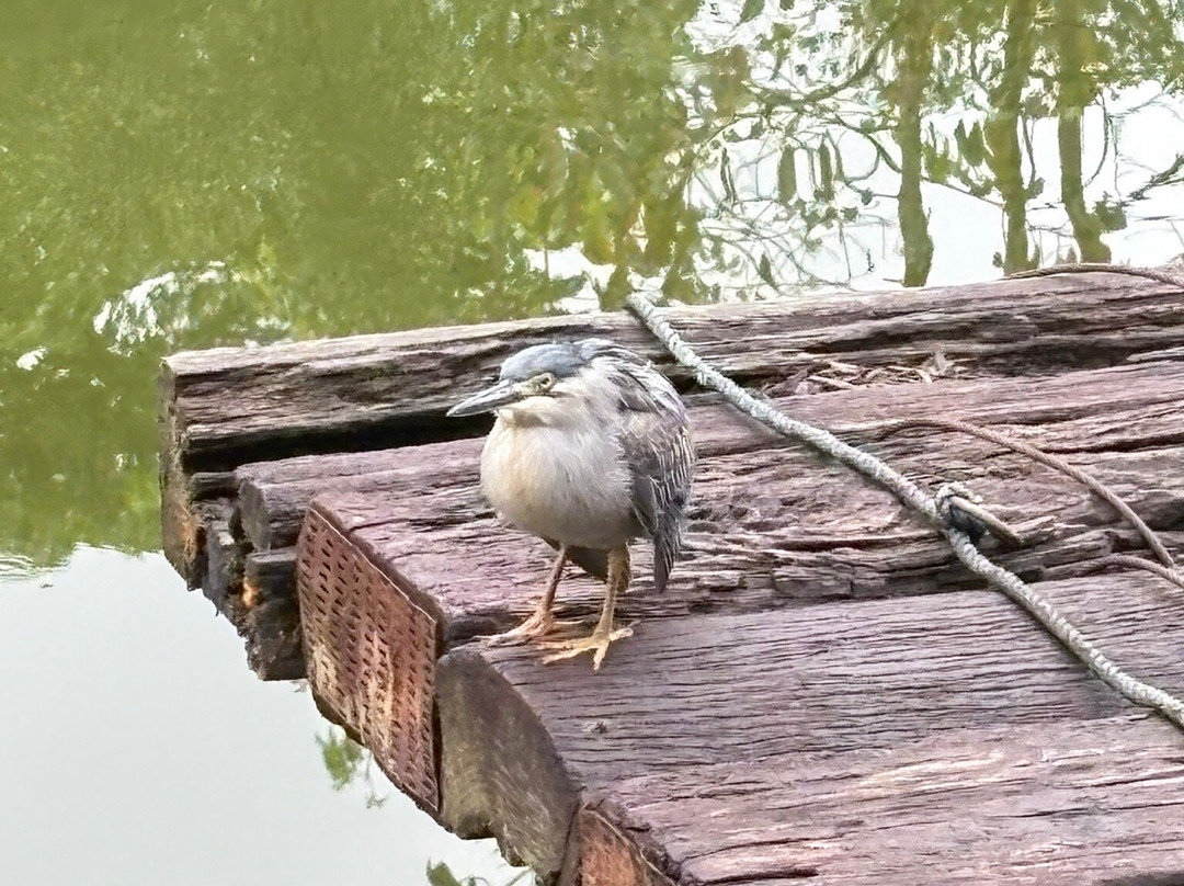 宁静湖精品酒店主图