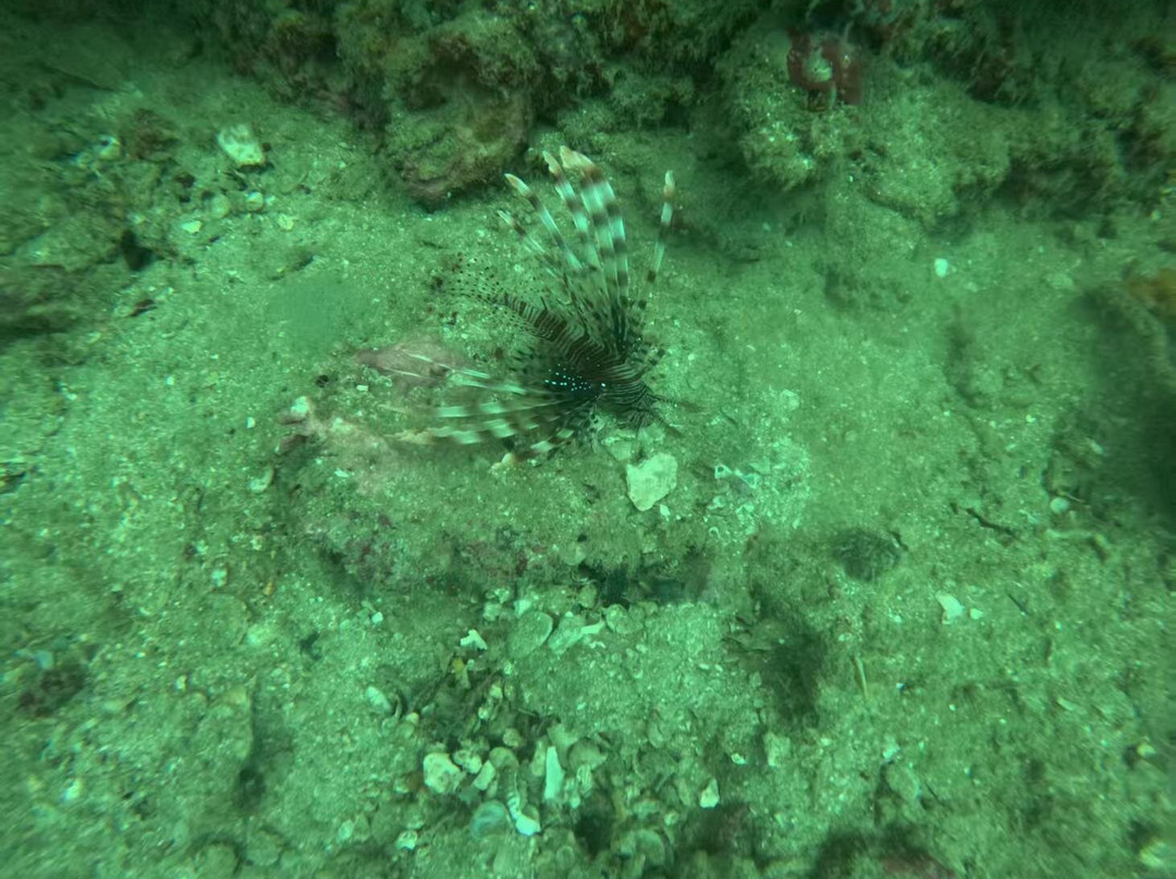 PKT Diving-大皮皮岛必去景点