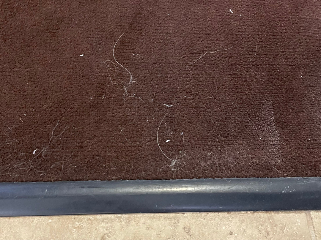 La Quinta Inn & Suites by Wyndham Dickinson主图