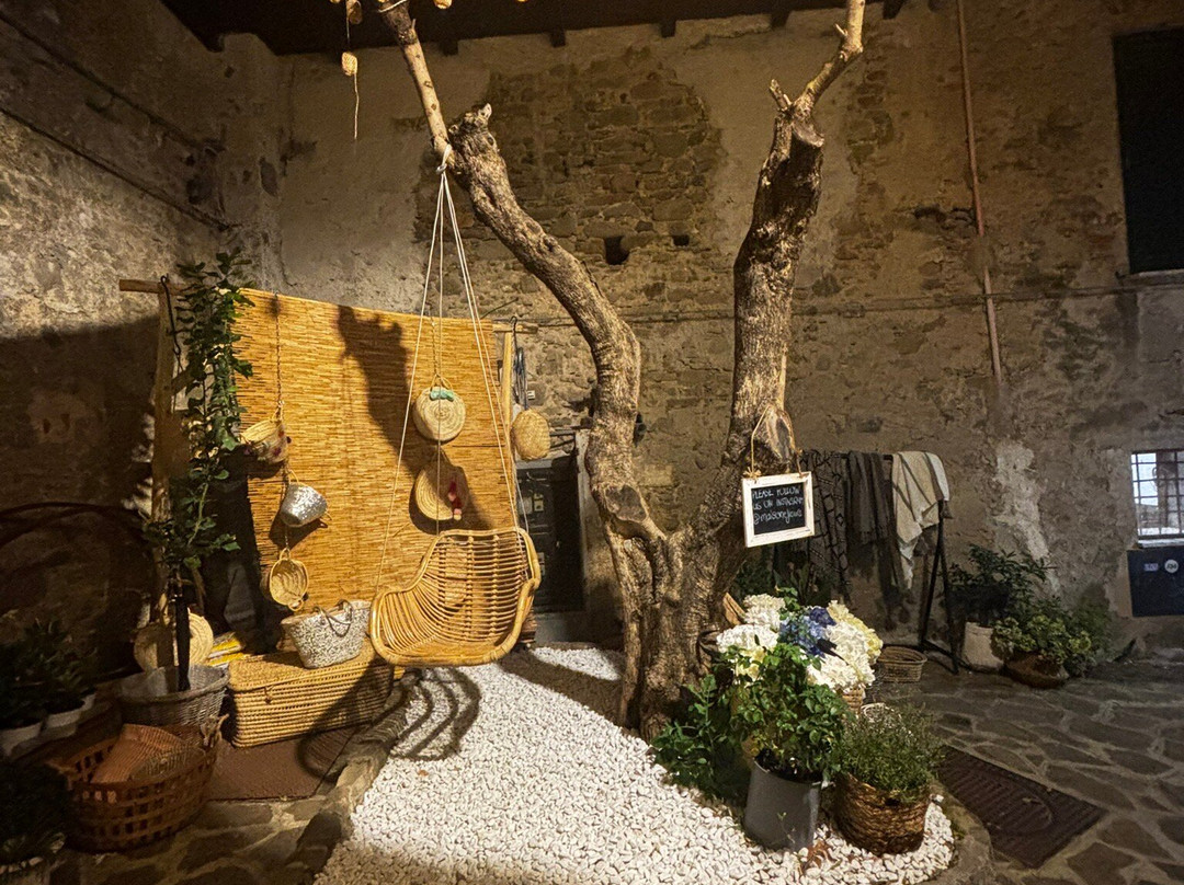 Acciaroli Port-Acciaroli必去景点