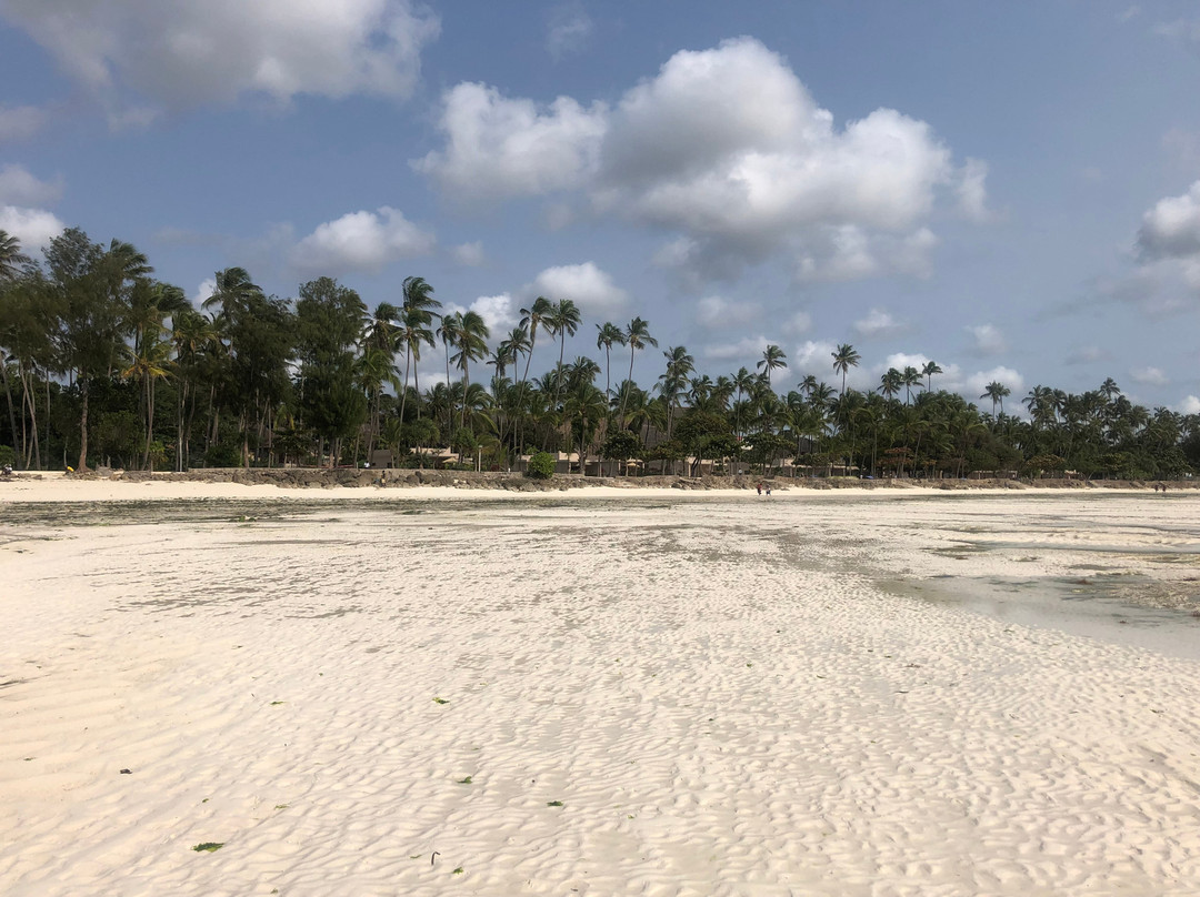 Pwani Mchangani Beach-Pwani Mchangani必去景点