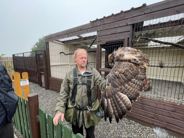 Mayfield Birds of Prey-Kilmacthomas必去景点