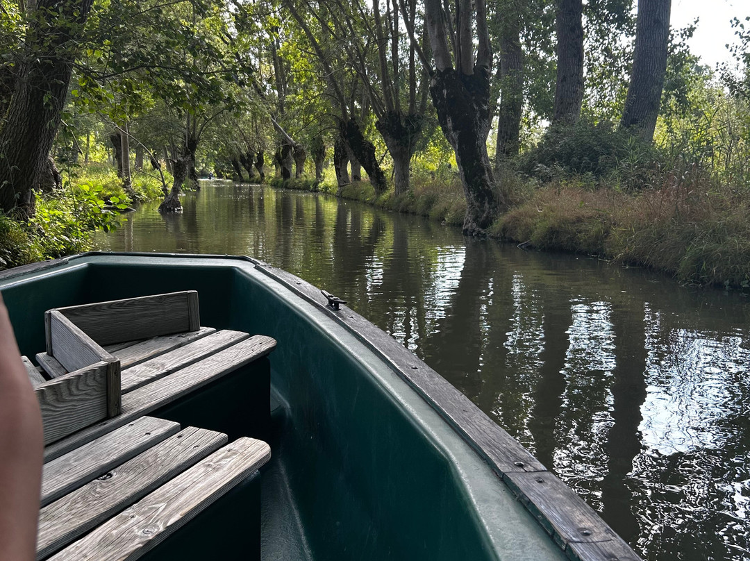 Embarcadere Cardinaud - Marais poitevin-Nouvelle-Aquitaine必去景点
