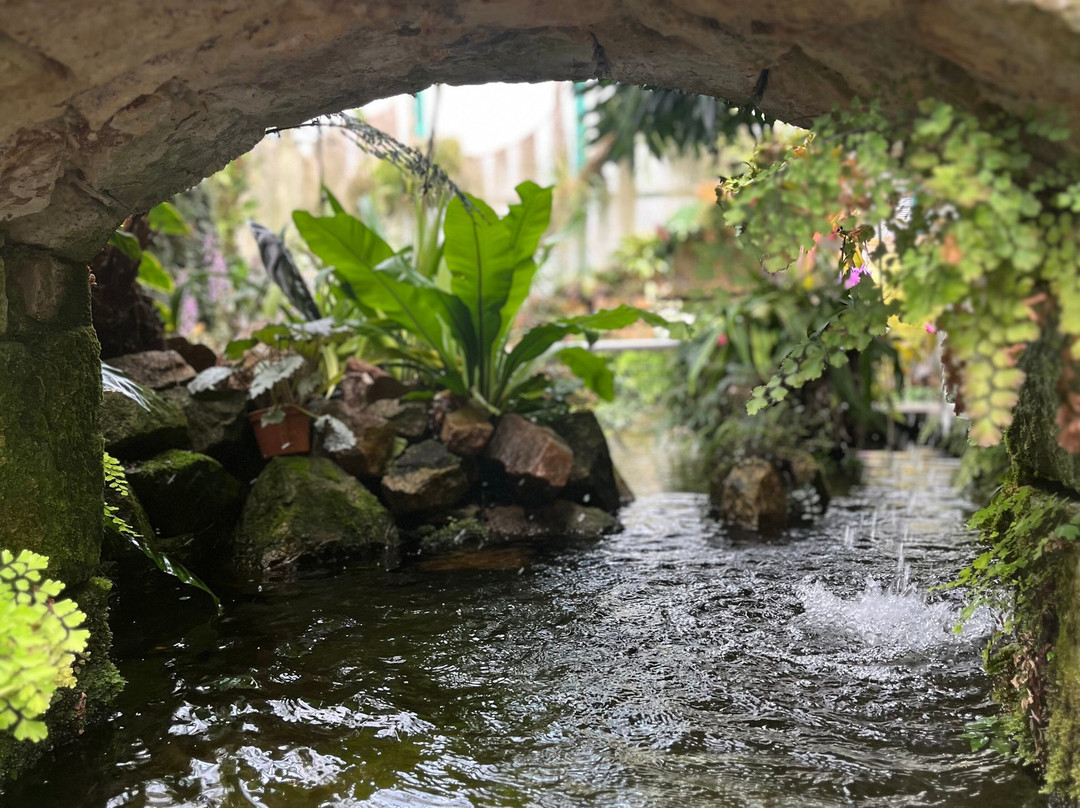 Eric Young Orchid Foundation-Trinity必去景点