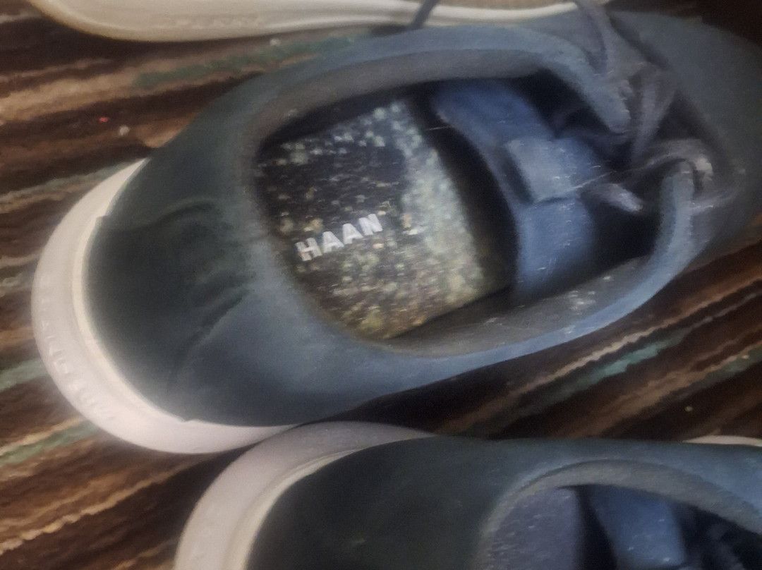 Quality Inn Seneca US-123主图