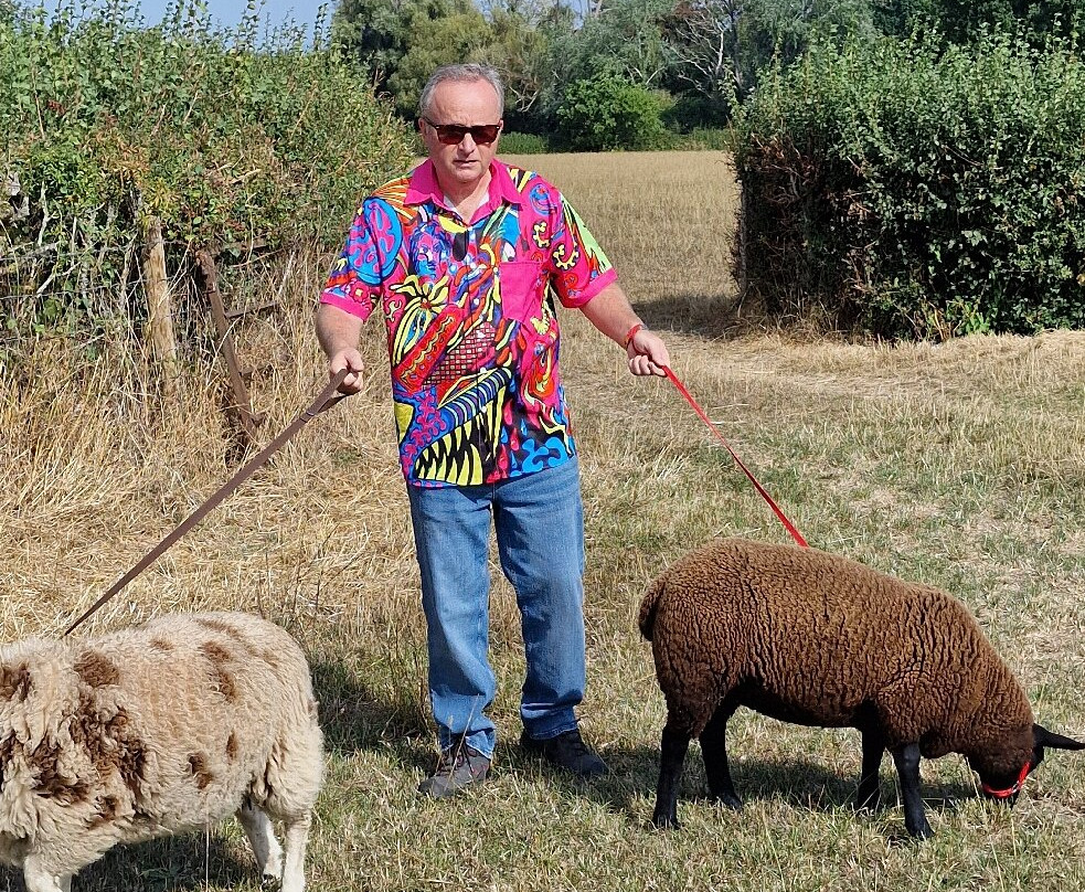 Somerset Sheep Trekking-Pitminster必去景点