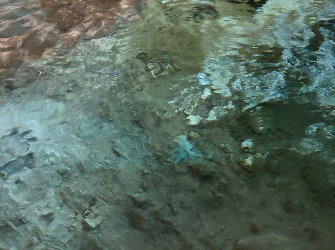 Lake Cave-Tapolca必去景点