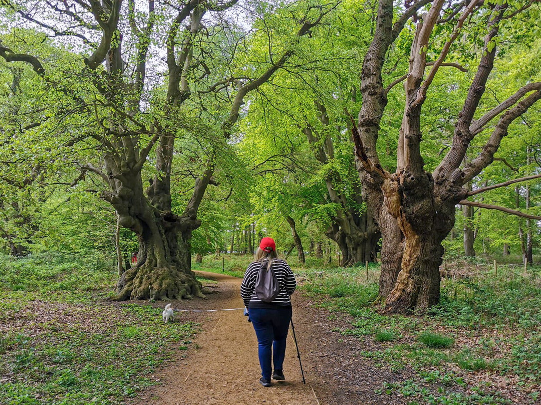 High Beach Beauty Spot-Loughton必去景点