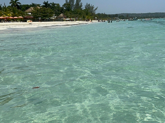 Tour Jamaica Today-奥乔里奥斯必去景点