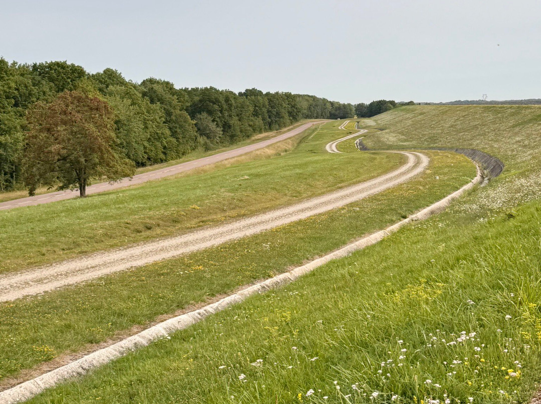 Aube Regional Natural Park of the Orient Forest-Grand Est必去景点