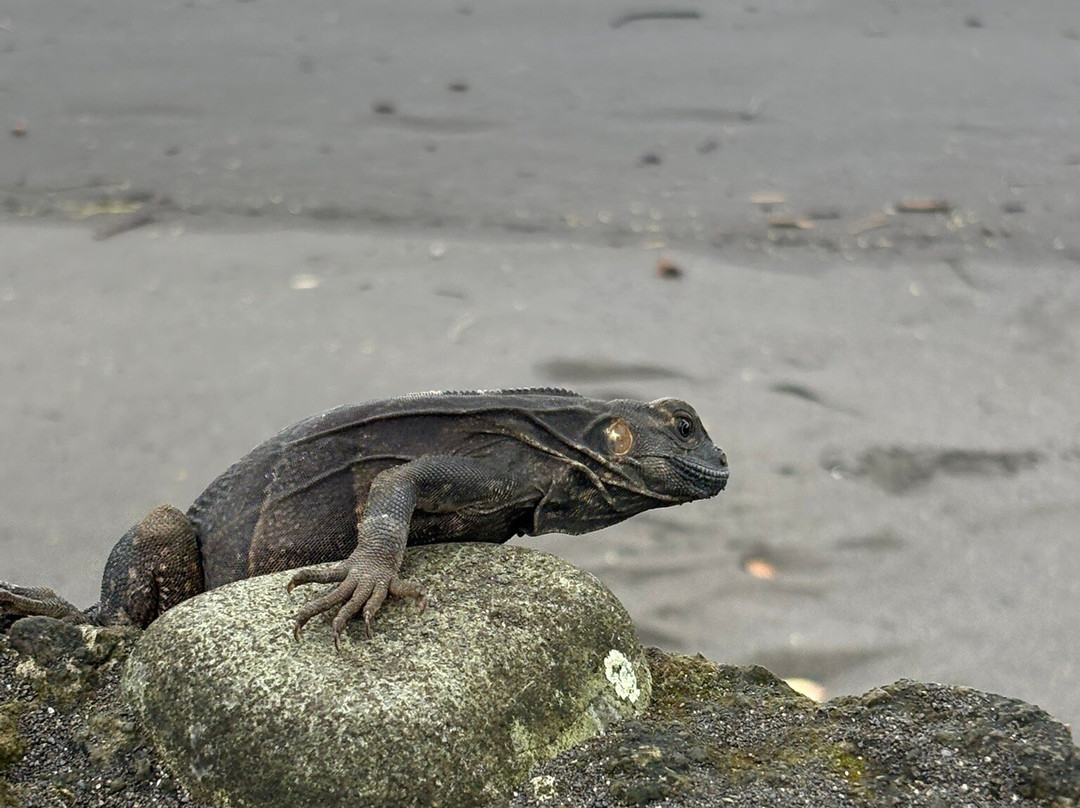 Terraza Del Pacifico主图