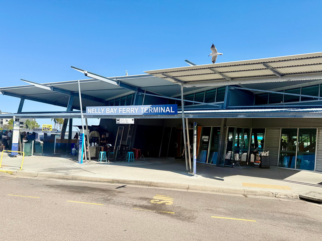 SeaLink Queensland - Magnetic Island Ferry Services-汤斯维尔必去景点