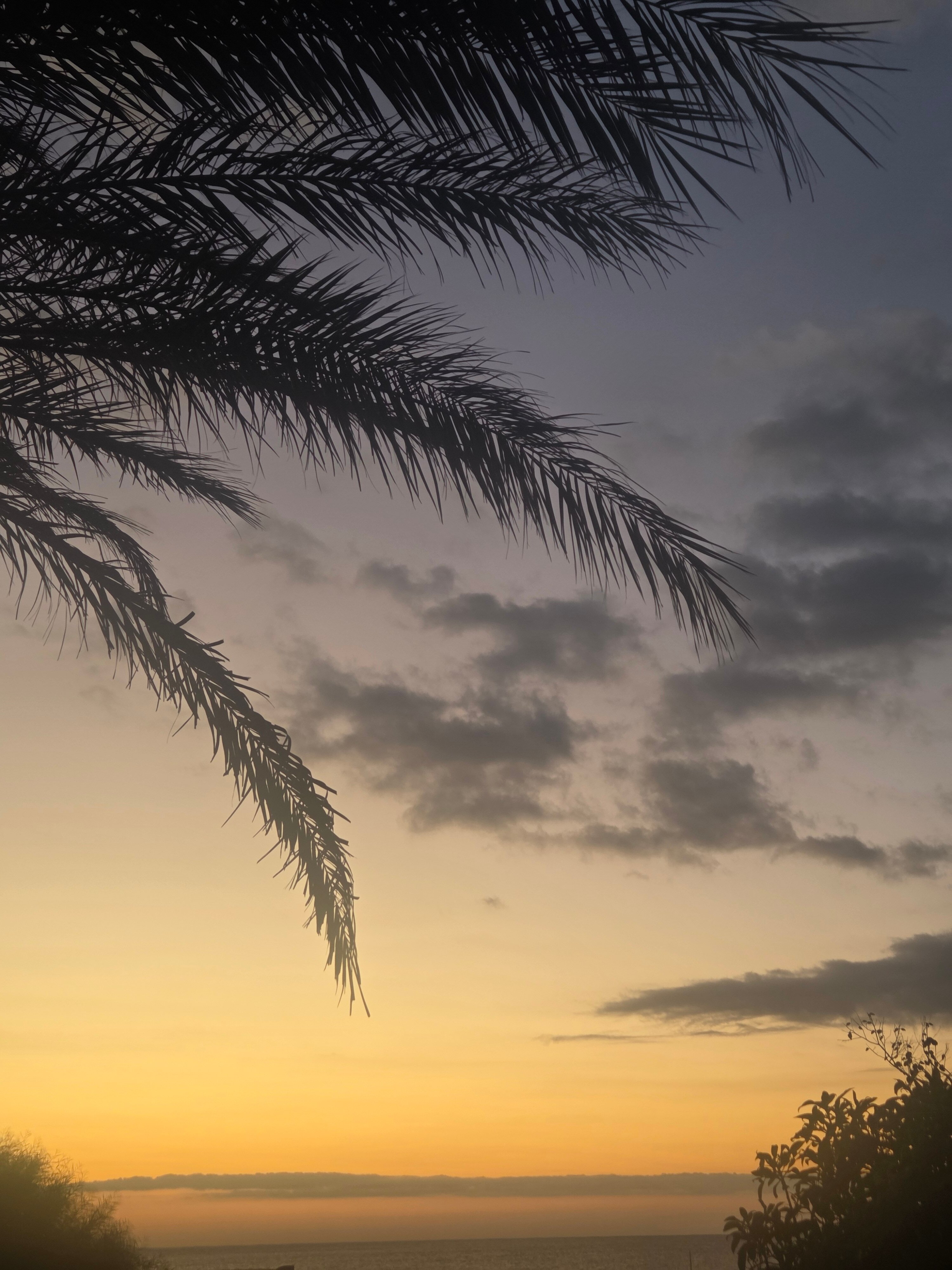 Affittacamere Aurora Da Nonna Orsola-官方