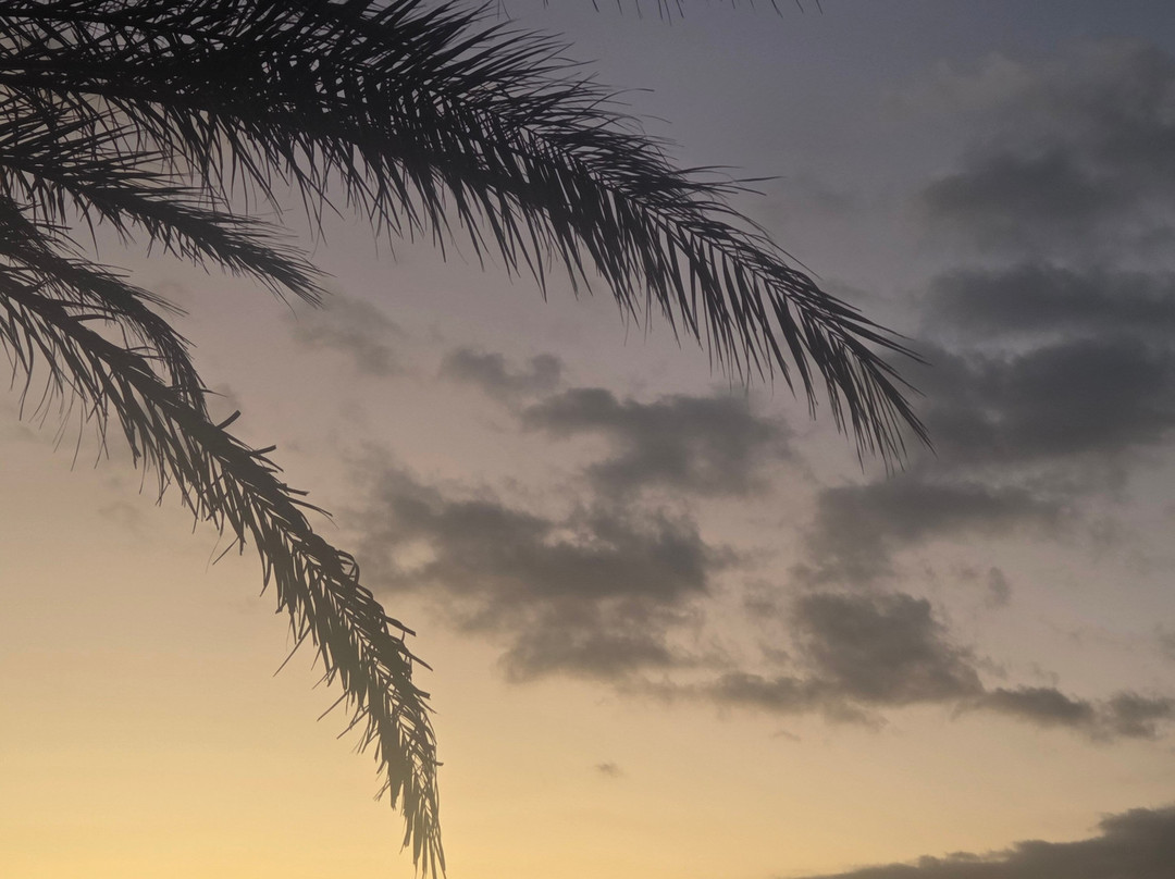 Affittacamere Aurora Da Nonna Orsola主图