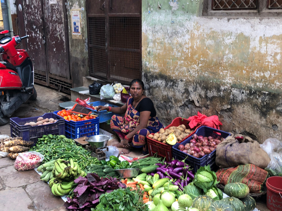 Varanasi Voyages Tours & Travels-瓦拉纳西必去景点