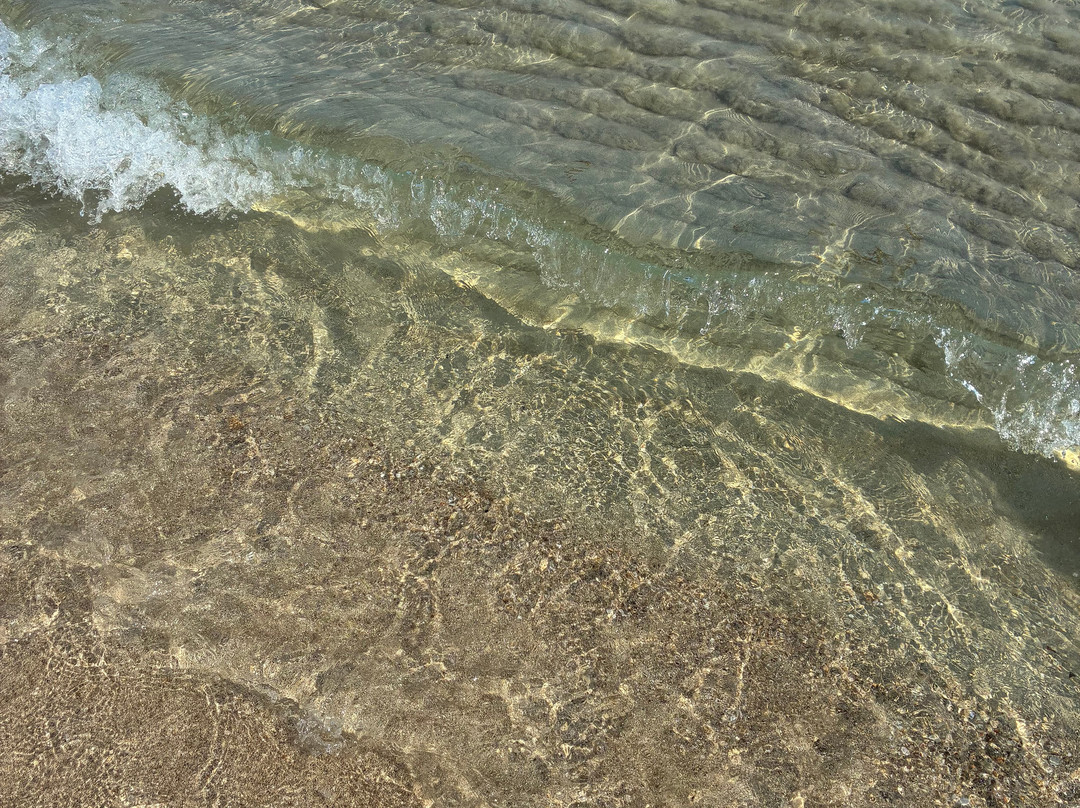 Spiaggia Torre Guaceto-Carovigno必去景点